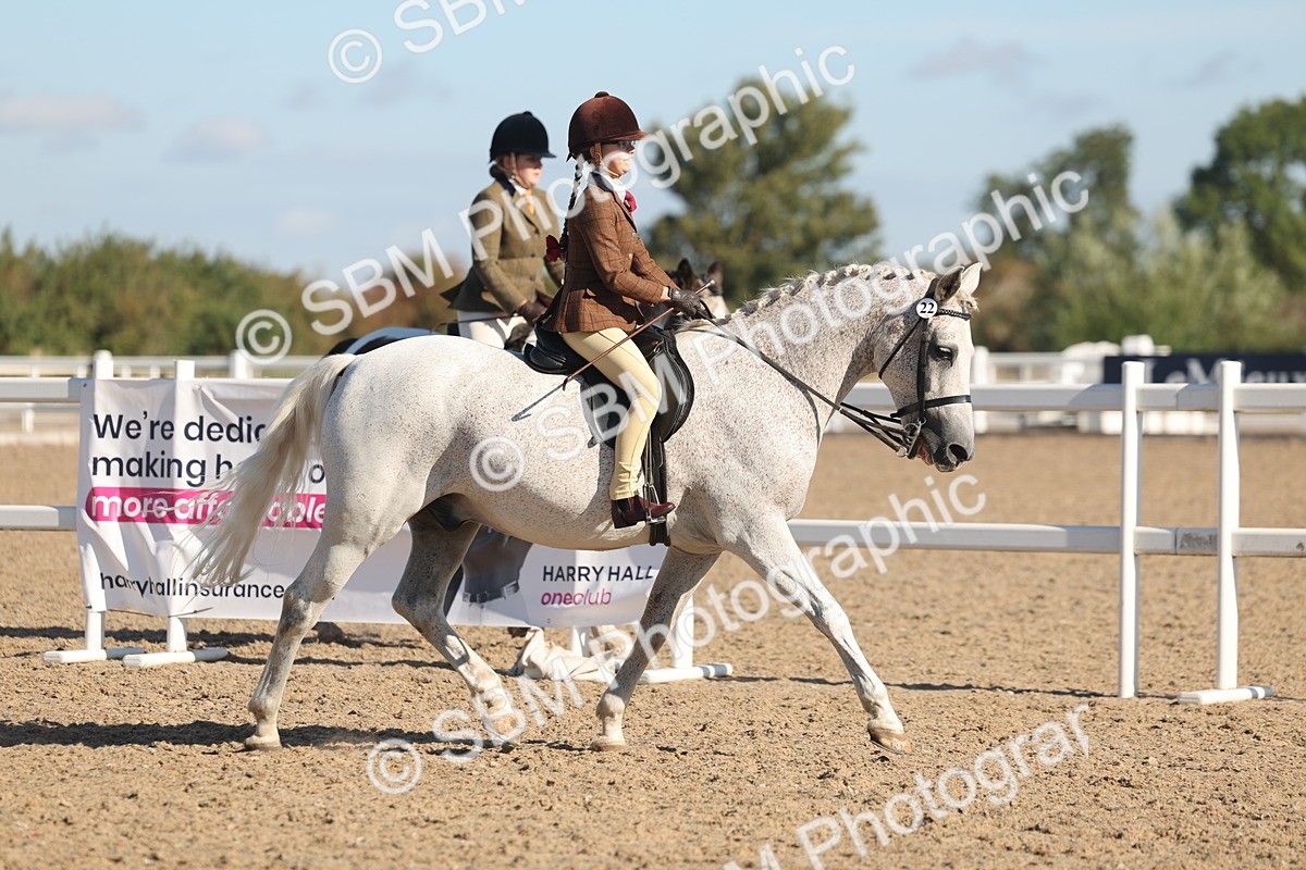 SBM_12296 - Class 304 - Ridden part Bred Horse Pony