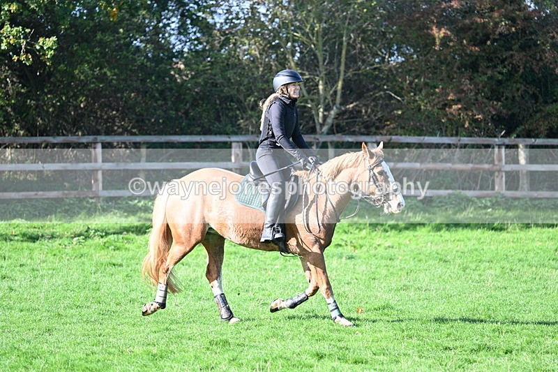 WJ7_7370 - Time 10:30 to 11:38