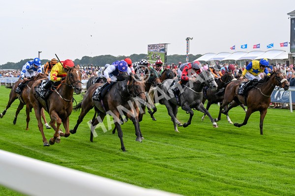 250725-Race 1-Pressures On - Quest For Fun-0220 - Race 1 5.30pm eventmasters.co.uk Handicap