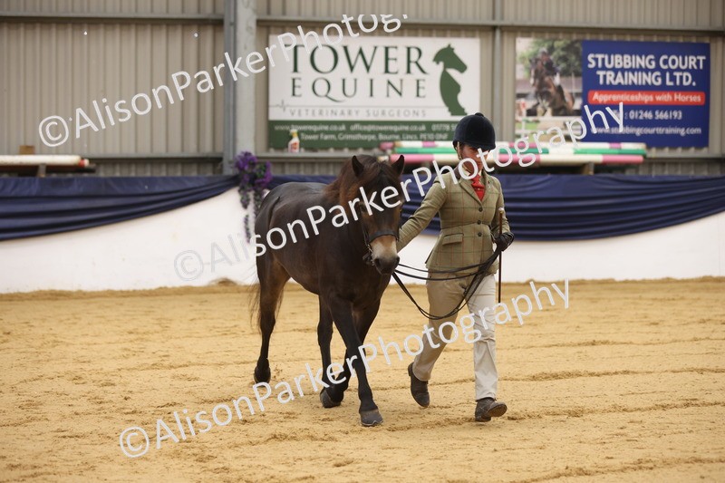 20260913-1132 - Class 110 - Bred In Other In Hand