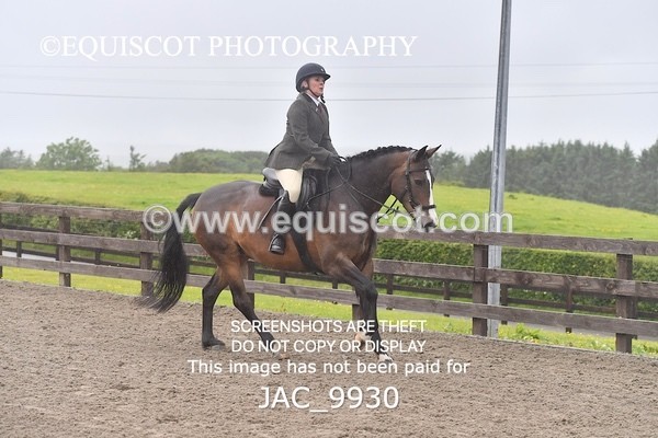 JAC_9930 - CLASS 3 Intermediate Working Hunter (0.70m - 0.85m)