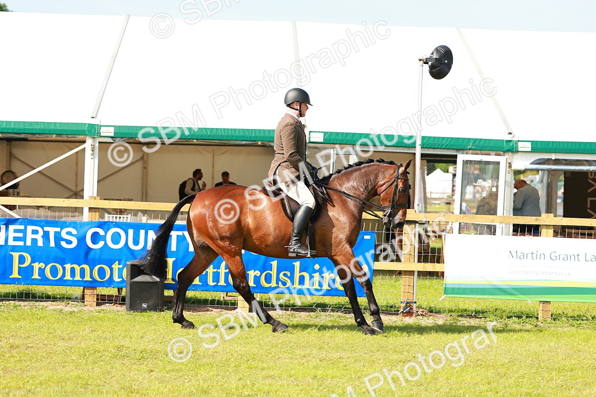 SBM_12031 - Class 66-69 - RIHS Ridden Hunters Inc Small Hunter