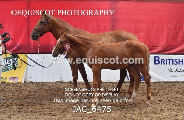 JAC_6475 - 19 Luca