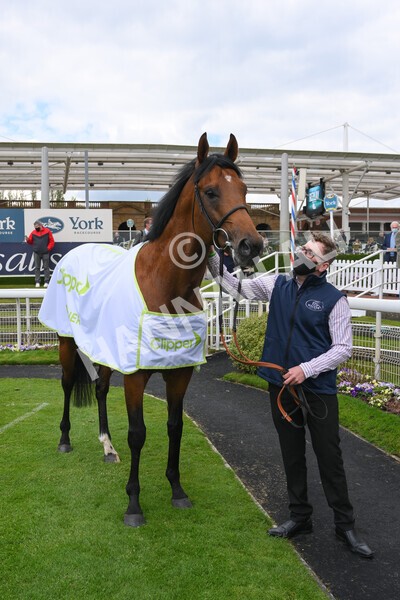 yr12052021r3-48 - Race 3 2.40pm Duke of York Clipper Logistics Stakes