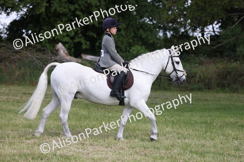 20260614-0802 - Class 20 - Beginners Working Hunter Pony
