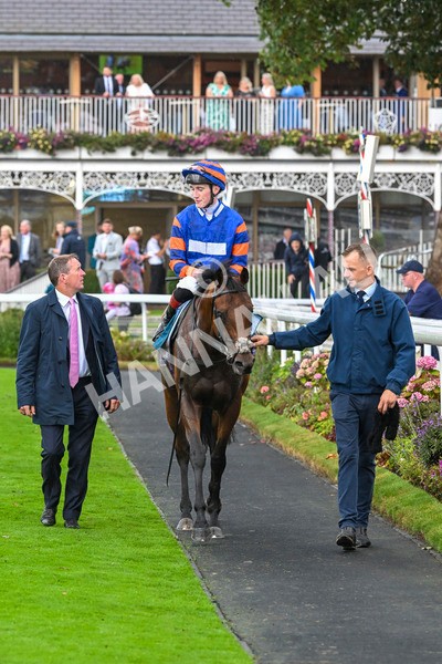 080924-Race 4-Zain Blue-9261 - Race 4 3.25pm PJ Staffing Group Handicap