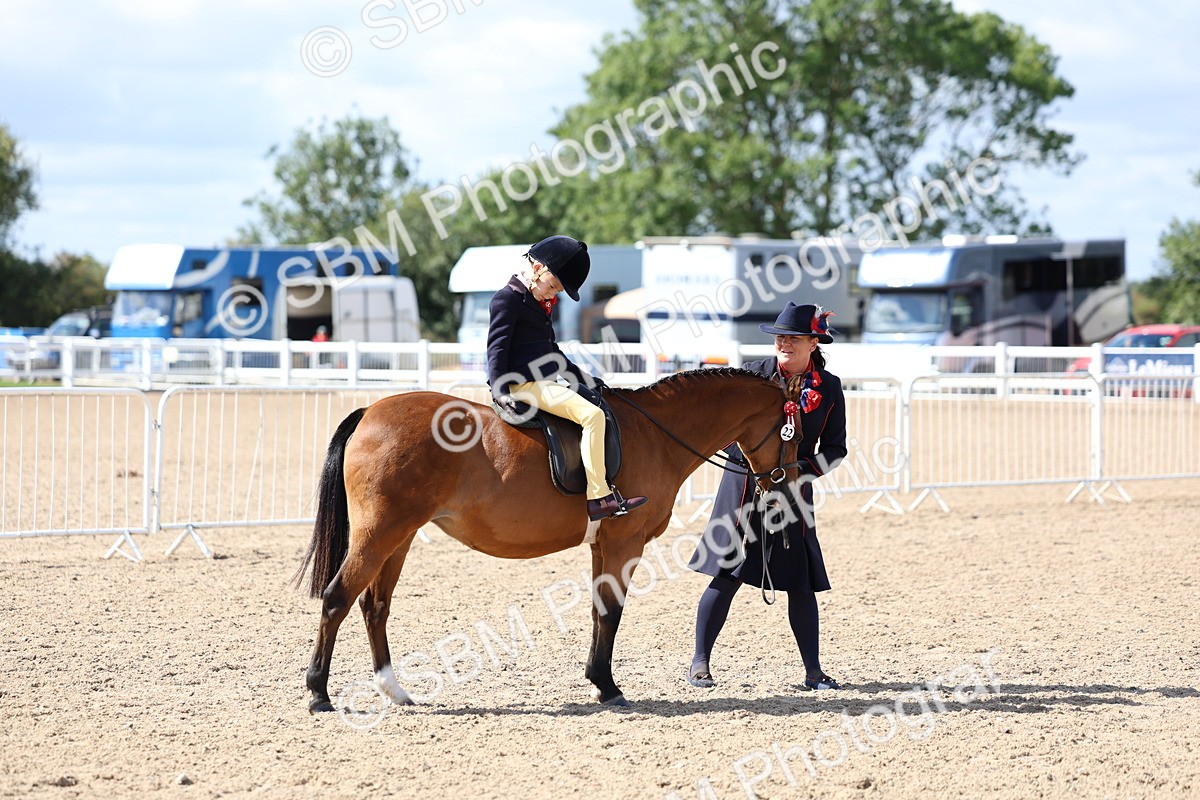 SBM_13041 - Class 309 - Lead Rein Pony