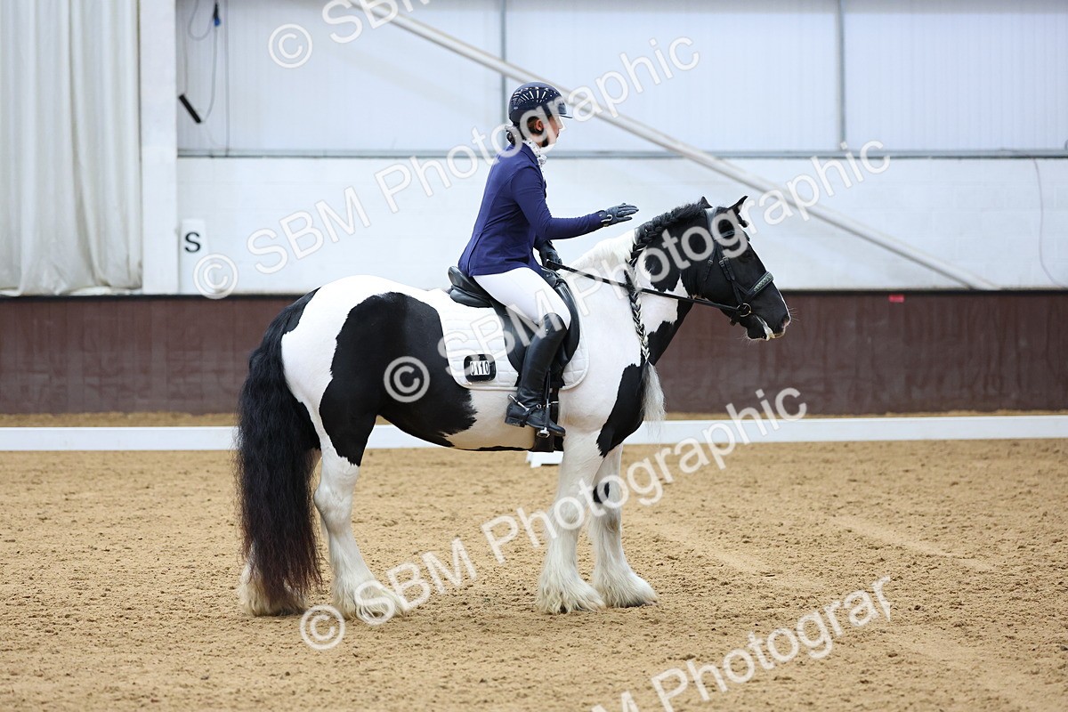 SBM_002281 - Novice 2