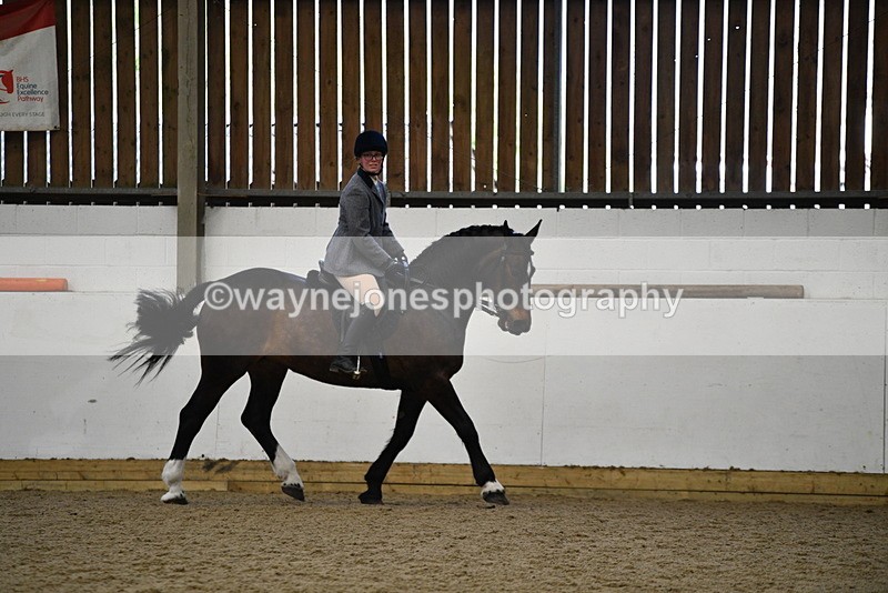 WJ5_7770 - Class 13 Ridden Part Breed
