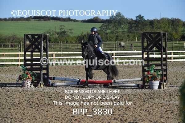 BPP_3830 - CLASS 0 Clear Round Show Jumping