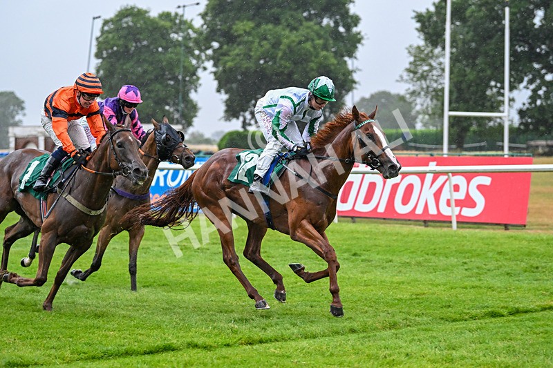 150725-Race 3-The Kamikaze King-6763 - Race 3