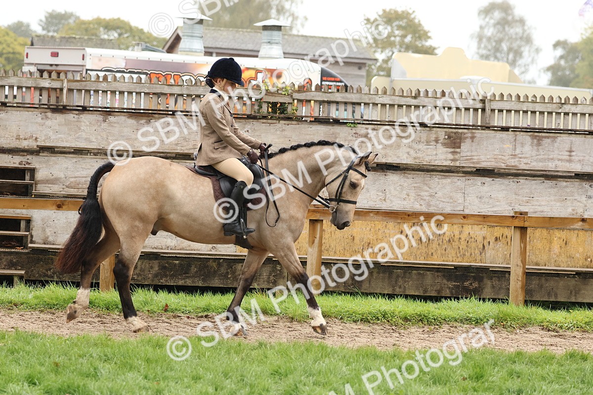 SBM_72964 - S63 Show Pony & Show Hunter Pony Ridden