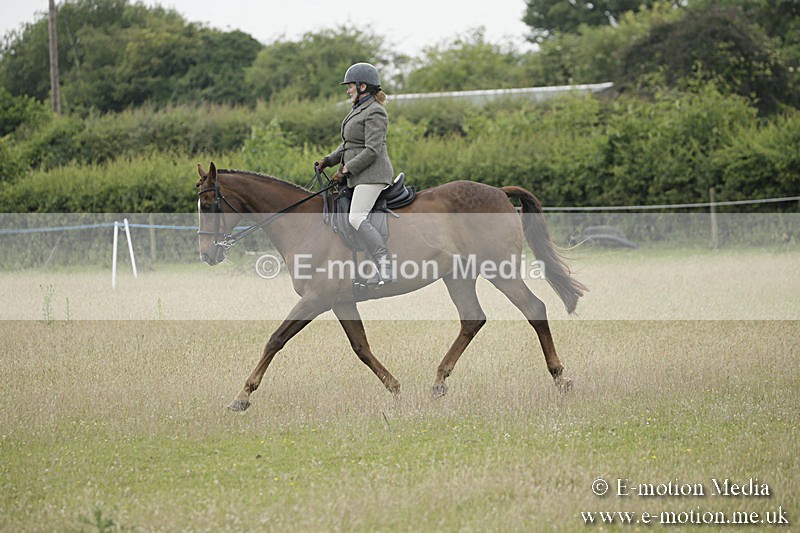 B230619-0338 - Bourne Valley Riding Club Summer Show 23/06/19