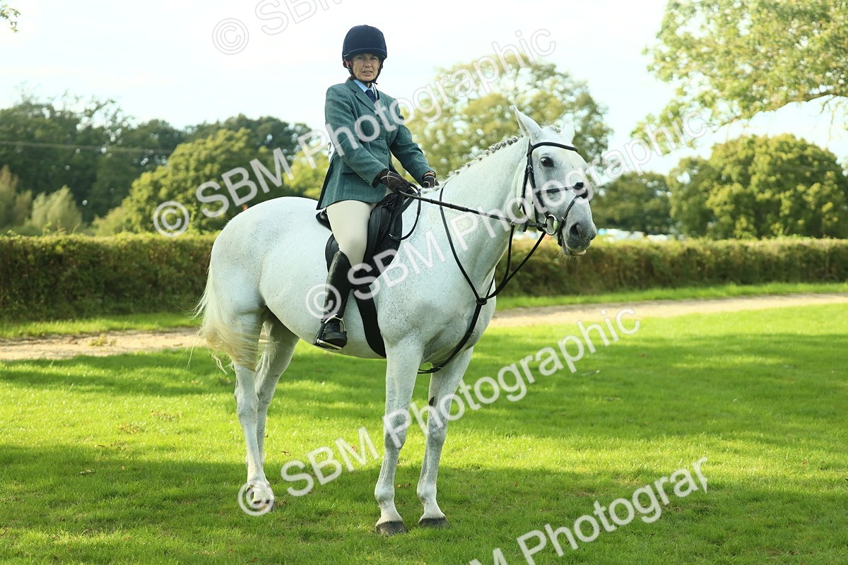 SBM_52201 - S33 - Working Hunter & Working Show Horse
