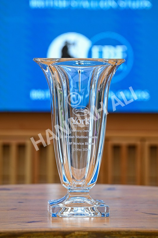 130526-Race 1-Cut A Dash-2078 - Race 1 1.45pm British Stallion Studs EBF Novice Stakes