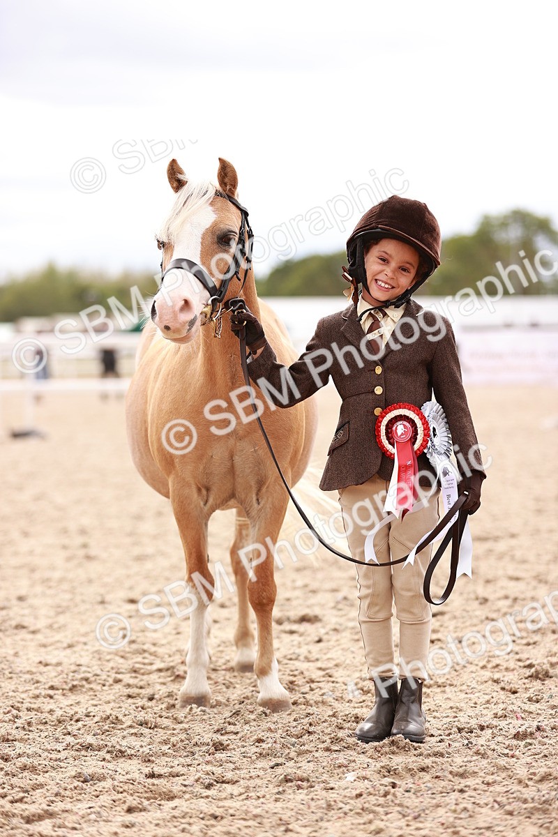 SBM_18264 - Class 416 - Prettiest Mare (IH or Ridden)Jnr
