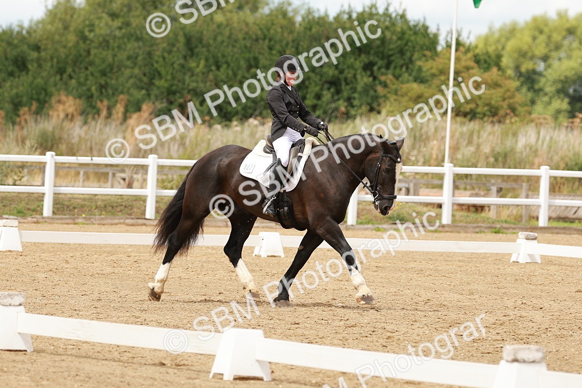 SBM_001401 - Class 4 - Novice 5