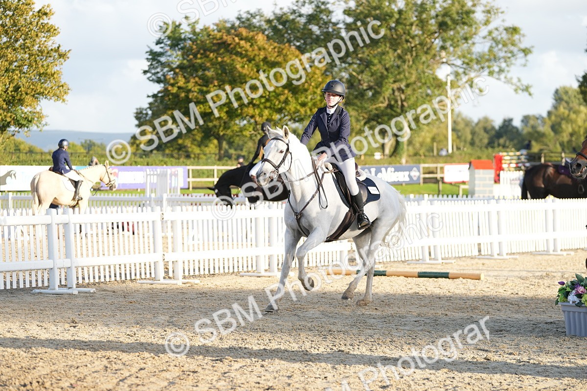 SBM_29561 - J44 - Horse & Hound Open 70cm