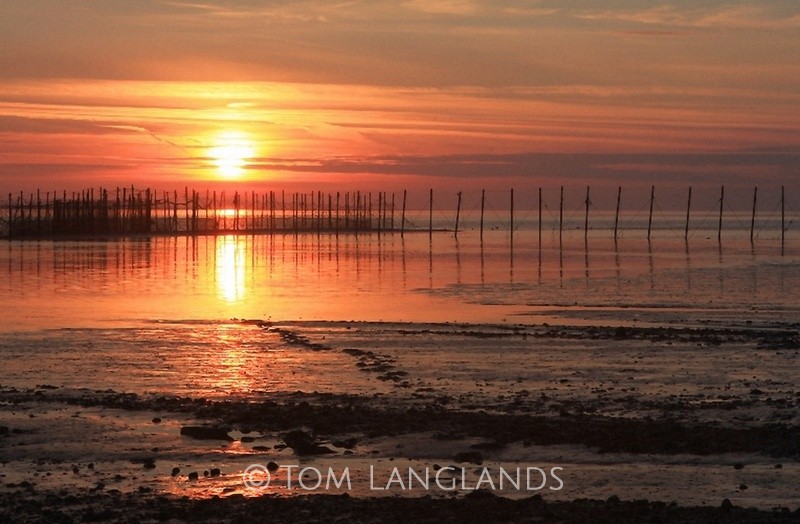 Solway Sunset - Landscapes