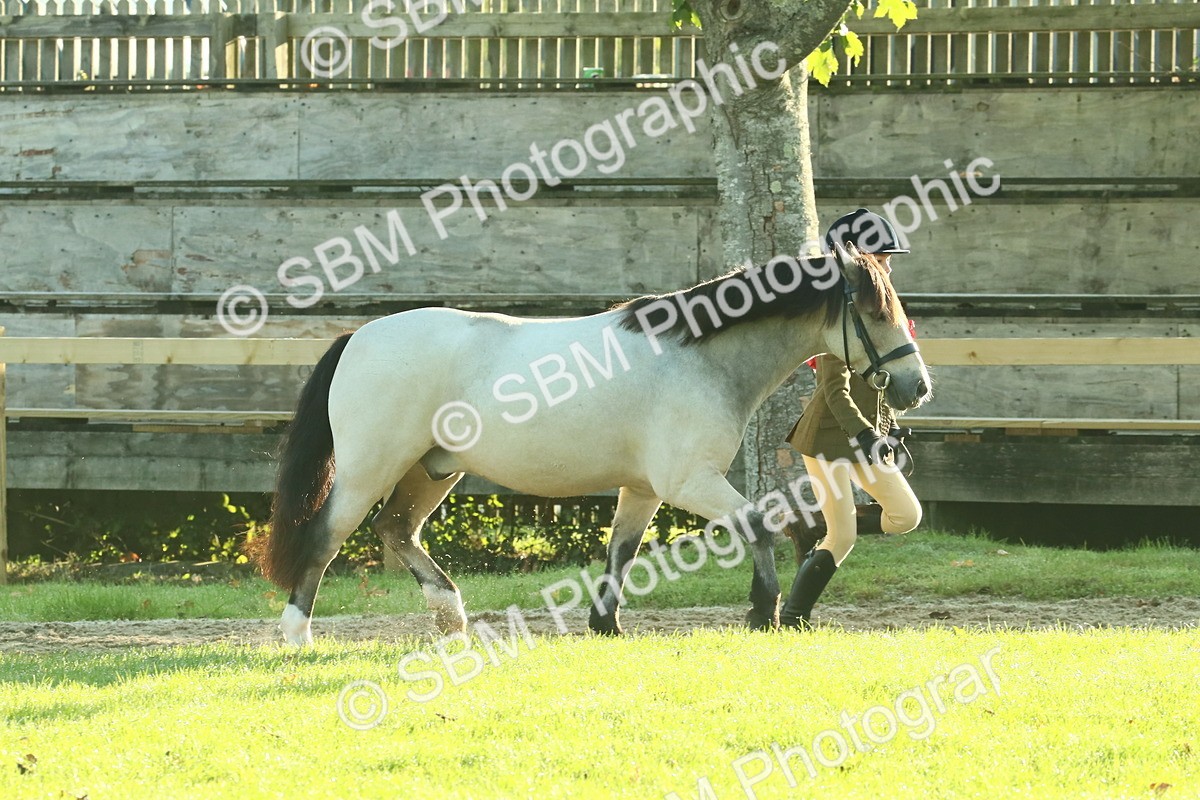 SBM_57386 - S37 - Starters In Hand Showing