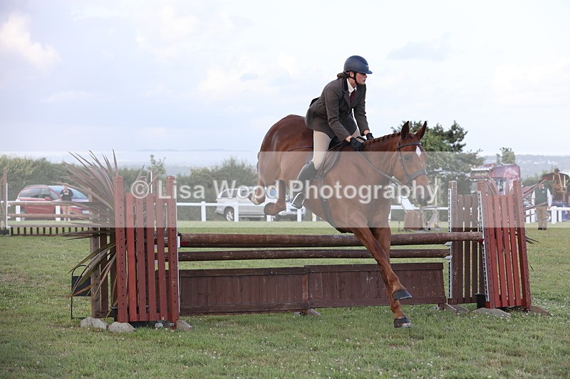 JPP_3661 - Class 24: Open Working Hunter