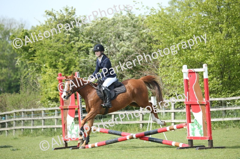 20260426-1491 - Class 14 - Novice 60cm
