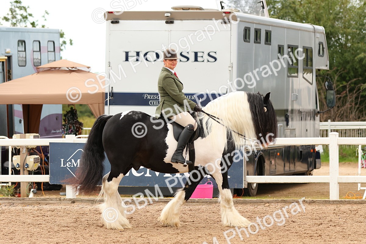 SBM_15639 - Class 215 - Ridden Traditional - Native Cobs