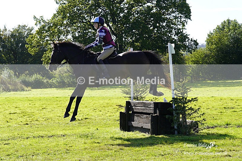  WWHT 031021 1325 - Open Novice (0.80m) 03/10/21