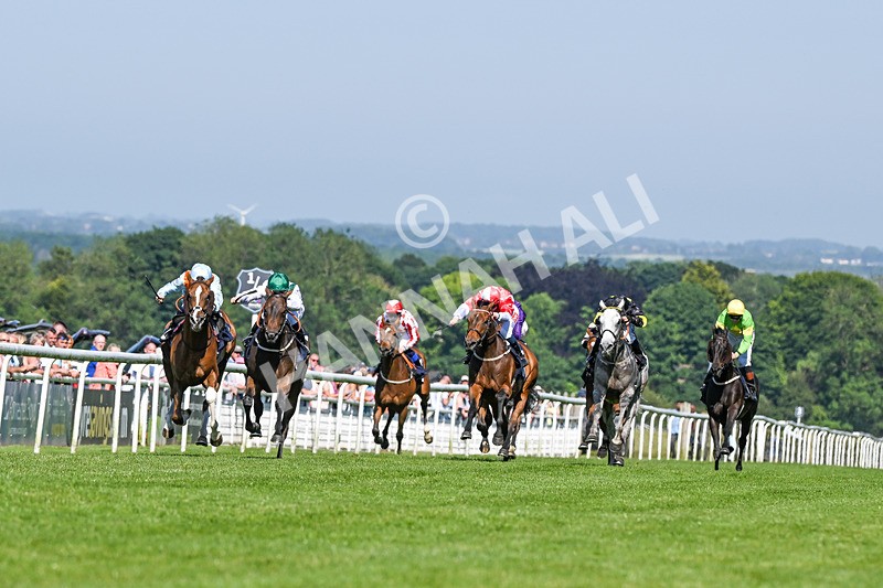 250624-Race 6-Cockalorum-9351 - Race 6