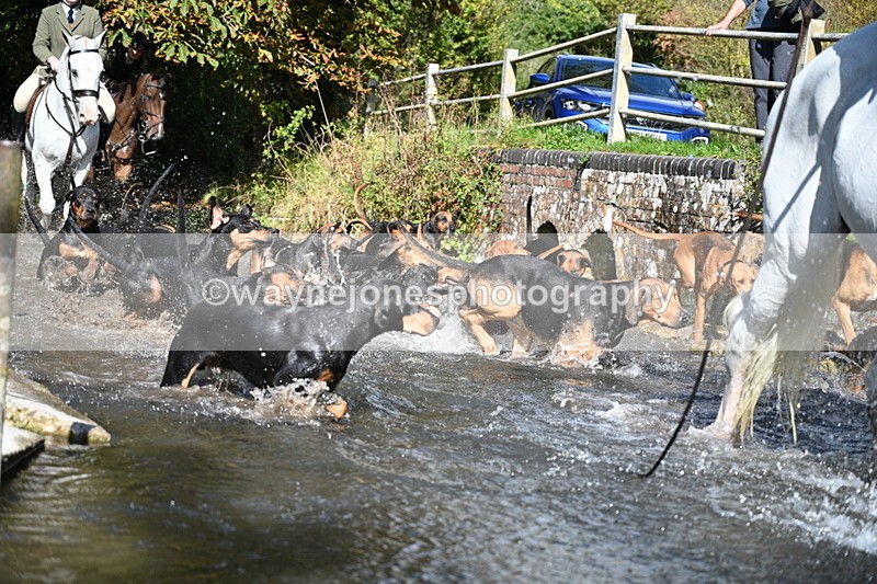 WJ7_5966 - Hounds Water Crossing