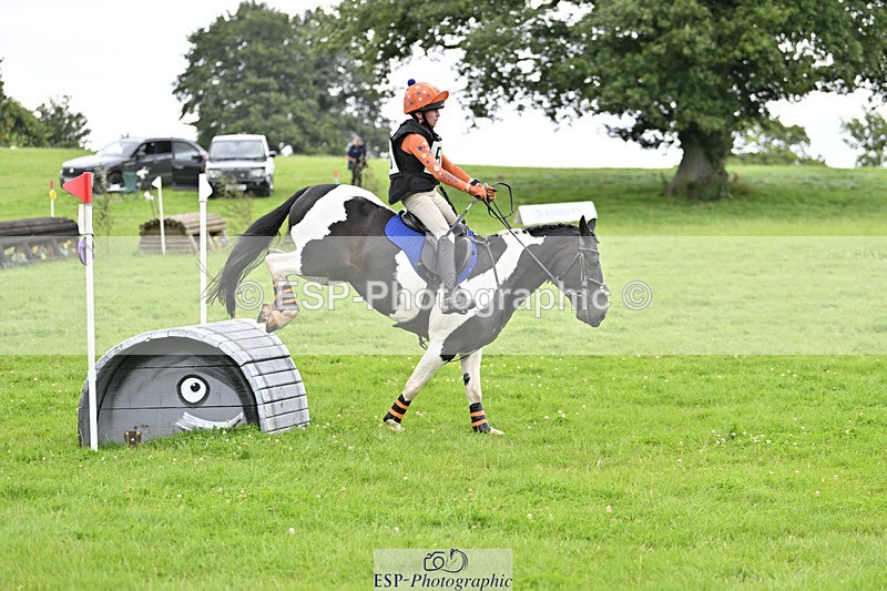 240804-144435-15449 - 555-Jack_Wish-WESTERLAKE_BUTTONWEED