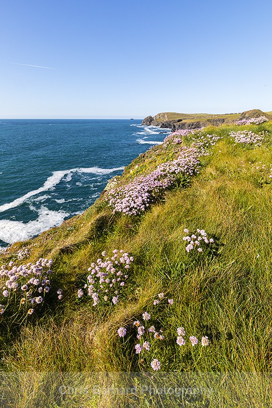  - Gunver Head North Cornwall