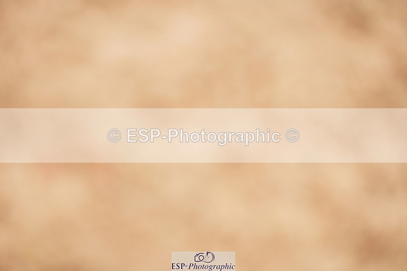 240524A-122738-03511 - Cls 15 Foxhunter