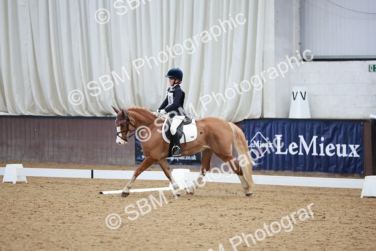 SBM_003963 - Class 2 - Novice 2020