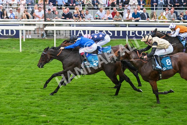 080925-Race 5-Elmonjed-7717 - Race 5 4.30pm Sky Bet Starman Garrowby Stakes
