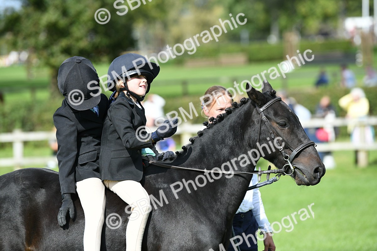 SBM_46978 - S12 - Family Horse & Pony