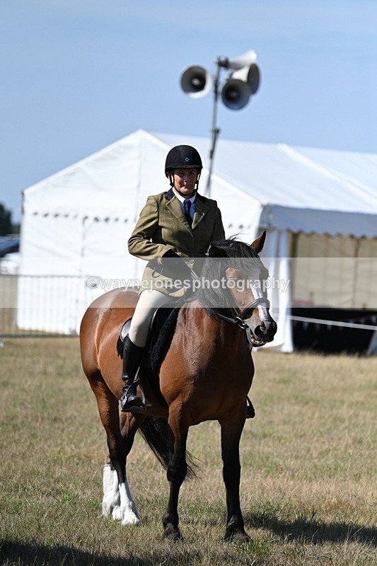 WJ7_3620 - Class 9 Mountain & Moorland Ridden