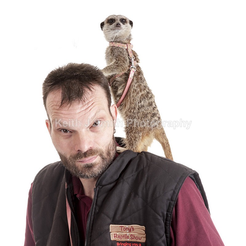 2SKJ8752 - Roaming Reptile Show. II