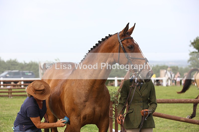 JPP_4506 - Class 26: Working Hunter 1m