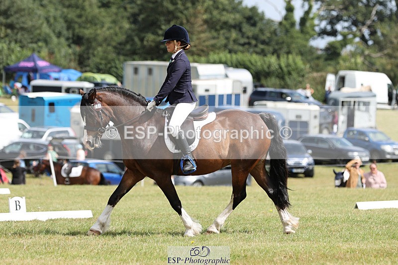 240824X-132019-27292 - D80 Section G and H 12.00 to 13.30