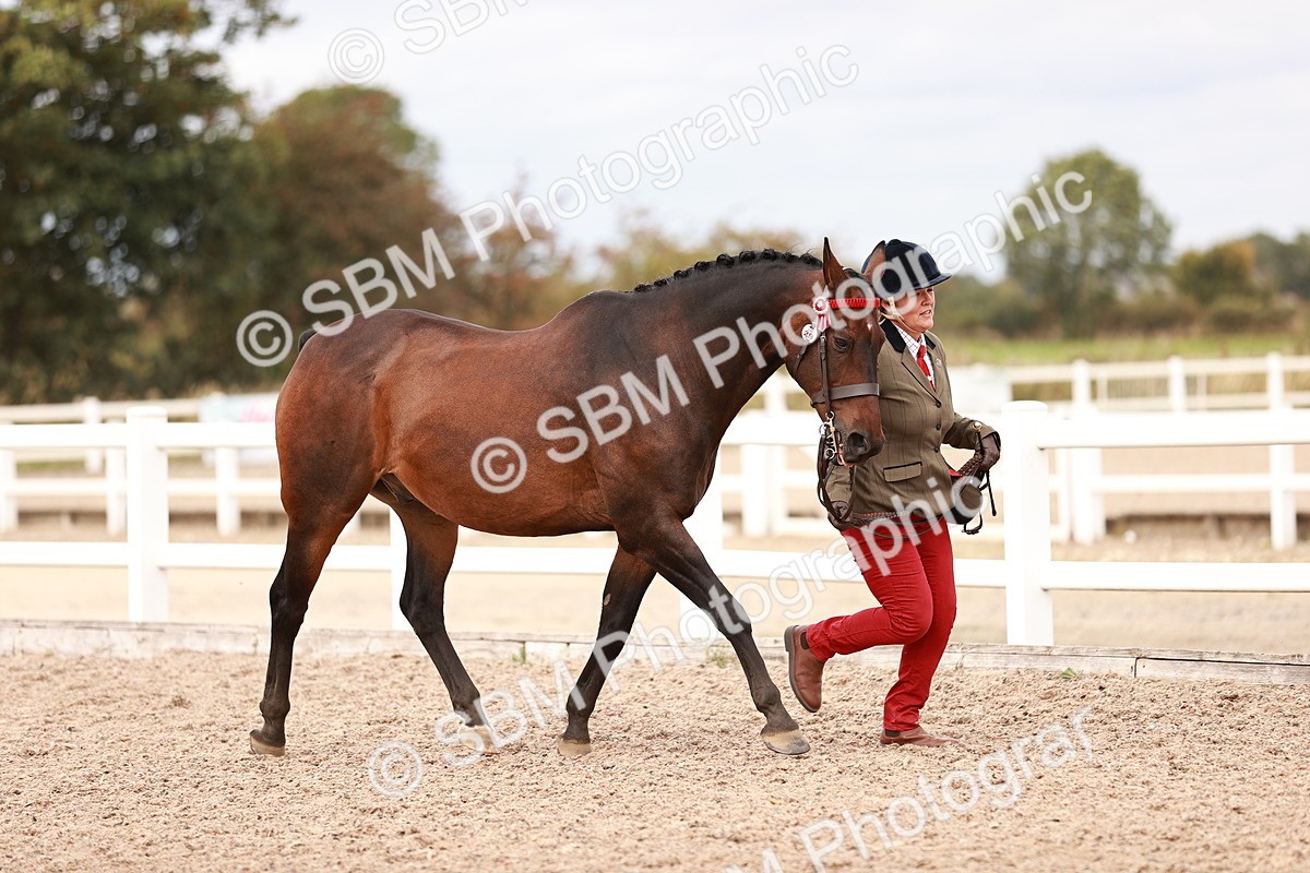 SBM_16273 - Class 413 - Best Condition - Adult