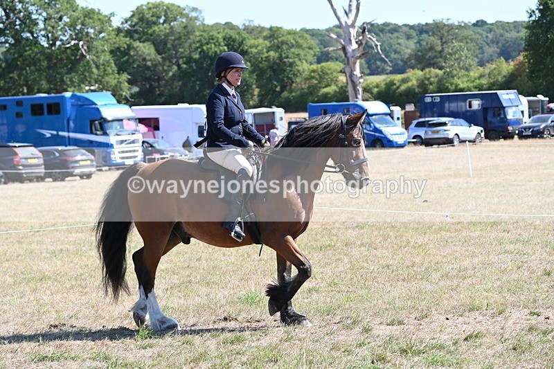 WJ6_8229 - Class 37a Best Loan Pony Ridden
