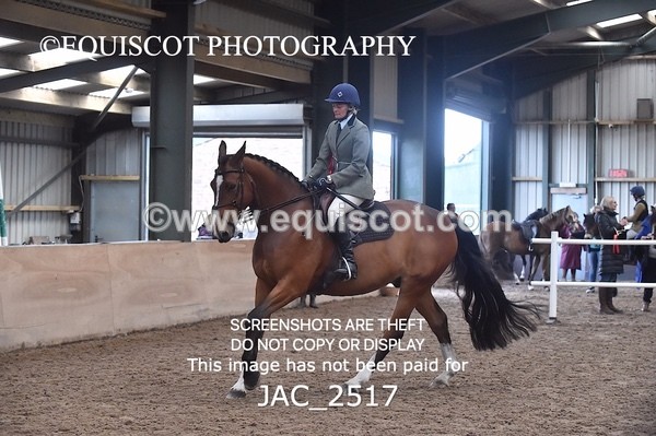 JAC_2517 - CLASS 3 Intermediate Working Hunter