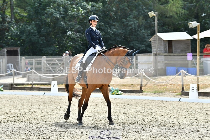260802A-153427-07495 - Intermediate Bronze