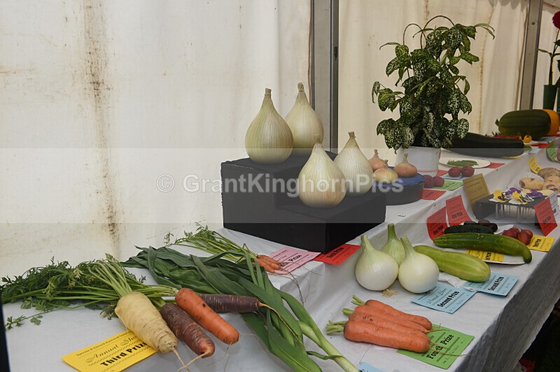 48 - Yarrow & Ettrick Pastoral Society Show 2026