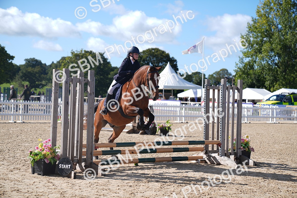 SBM_02370 - J54 Clear Round 45cm