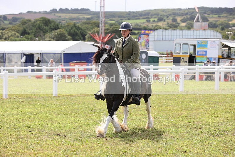 JPP_1530 - Class 17: Cornish Combination Open