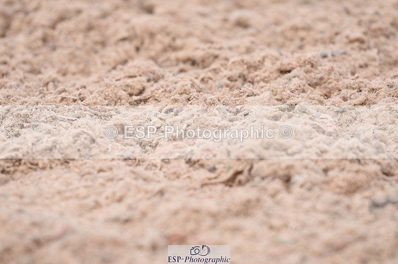 230701A-152632-07407 - Cls 11 Novice 34