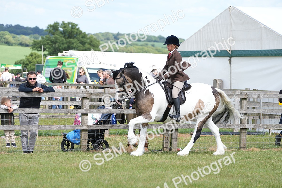 SBM_17151 - Class 107-108 - LIHS BSPS Performance Coloured Horse Pony