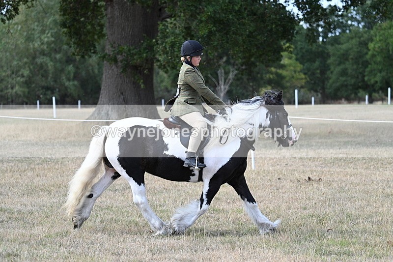 WJ7_7101 - Class 14 Ridden Coloured